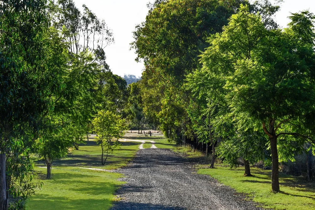 Additional image 19 of 132 Dight Road, Rosenthal Heights QLD 4370