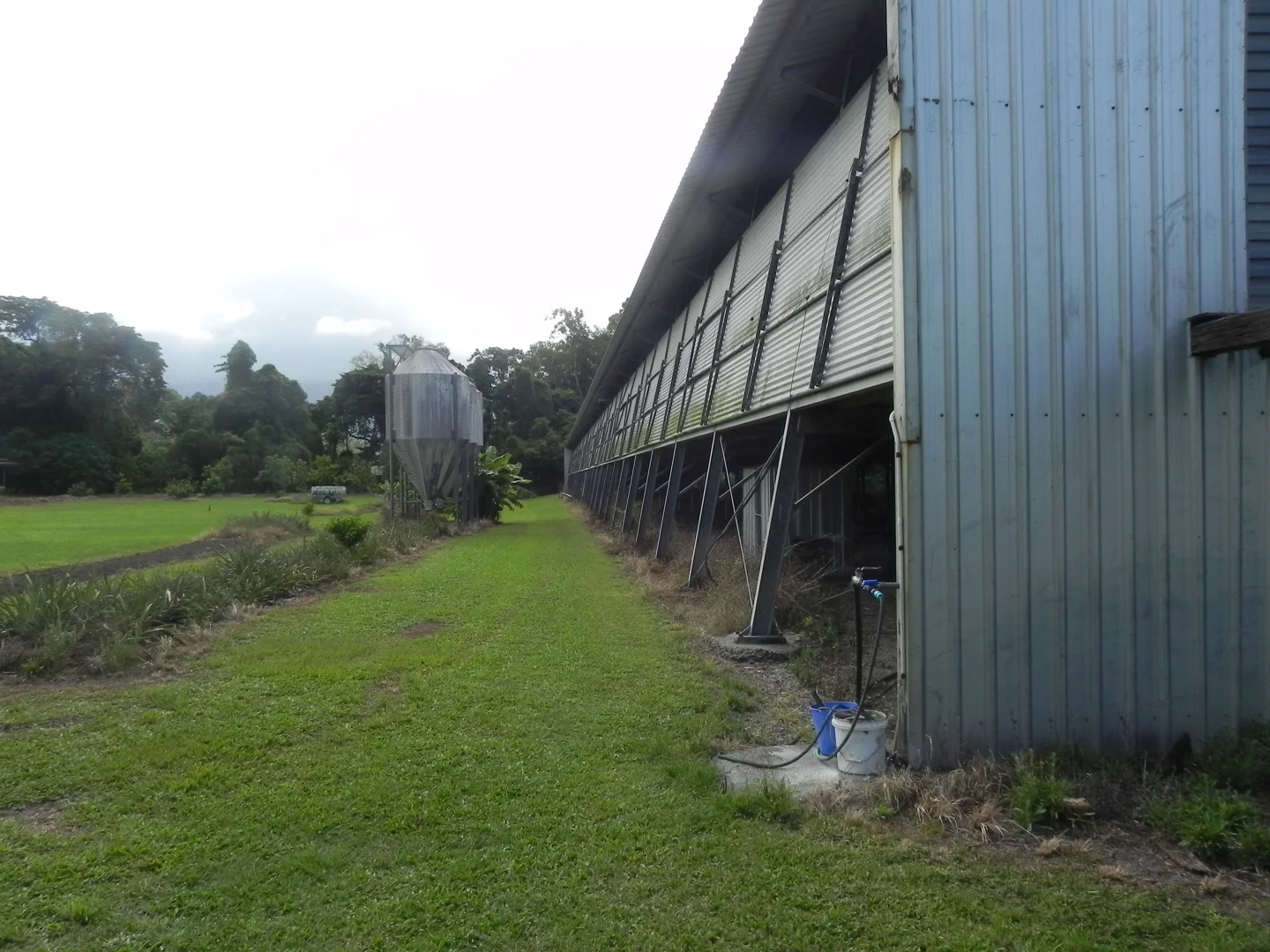Image 12