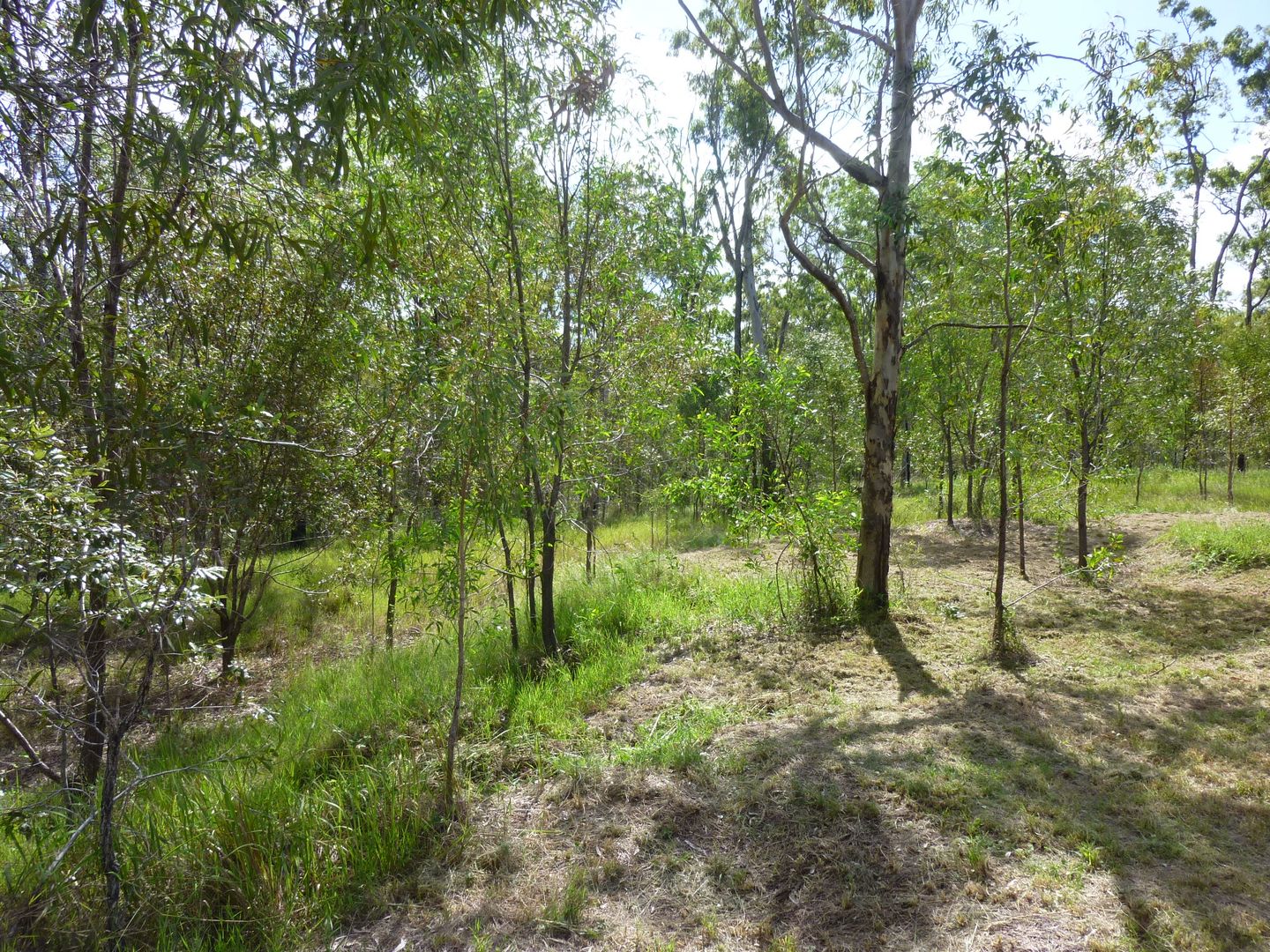 7045 Isis Highway, Eureka QLD 4660, Image 2