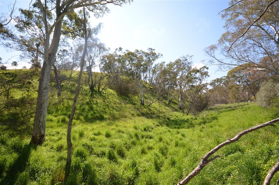 Lot 4 Campbell Road, Penwortham SA 5453, Image 0