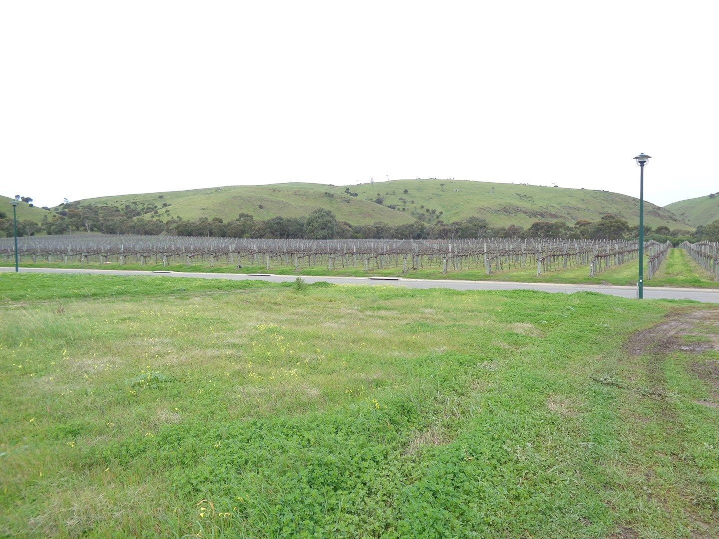 Lot 238 The Vines Drive, Normanville SA 5204, Image 0