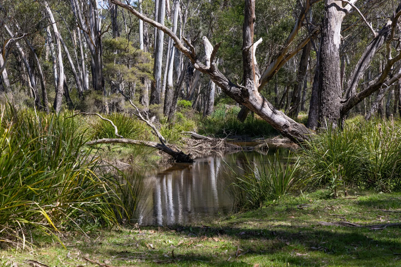 Additional image 18 of 632 Old Argyle Road, Exeter NSW 2579