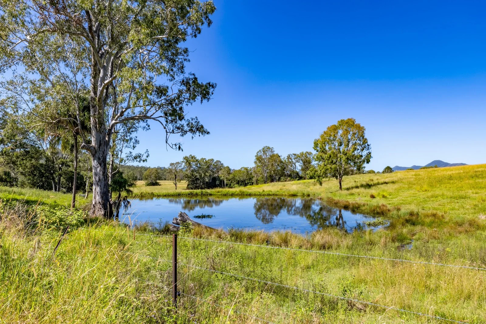 Additional image 5 of 55 Kewins Road, Glastonbury QLD 4570