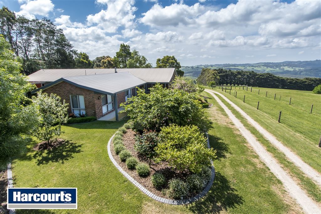 25 McIntosh Road, Strzelecki VIC 3950, Image 0