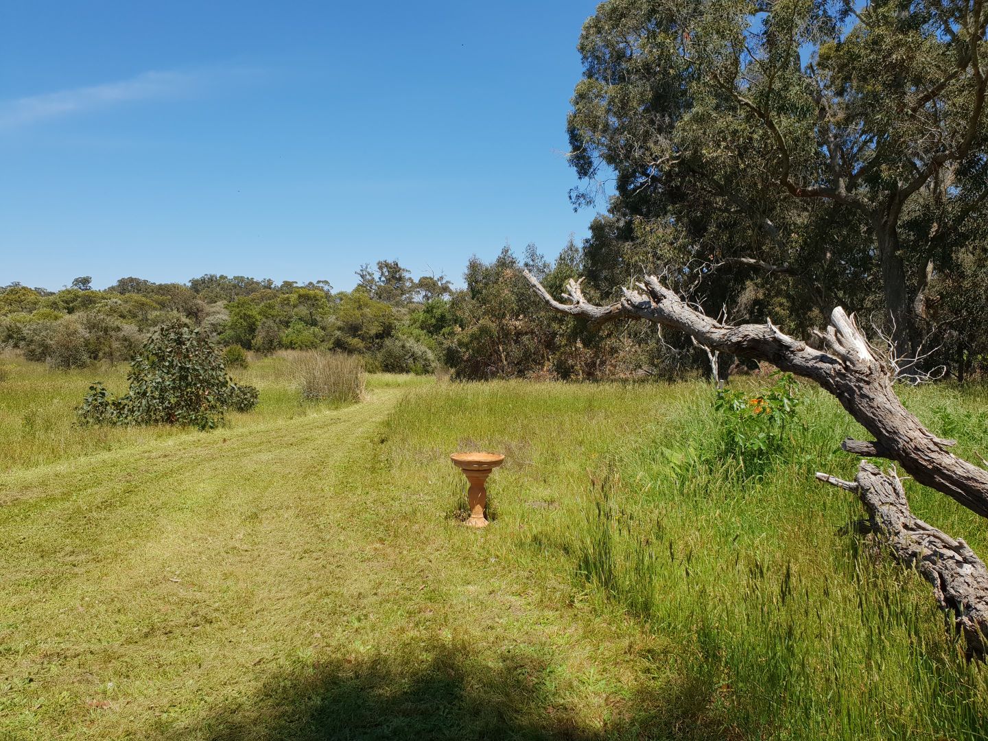 Lot 19 Norna Drive, Northcliffe WA 6262, Image 1