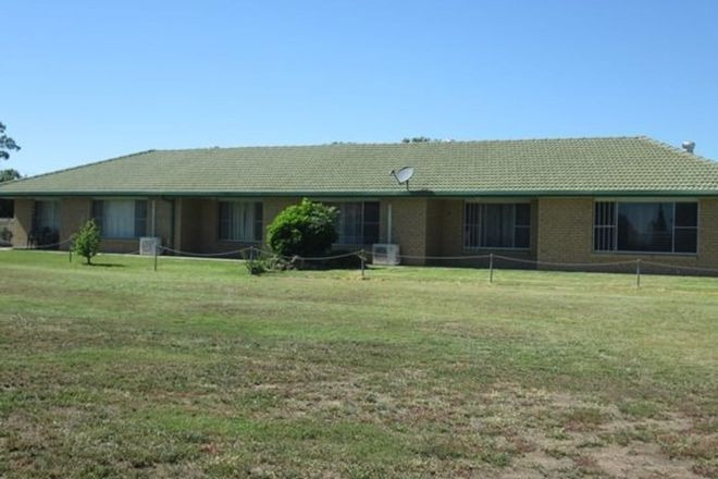 Picture of 12 Cummins Drive, MOREE NSW 2400