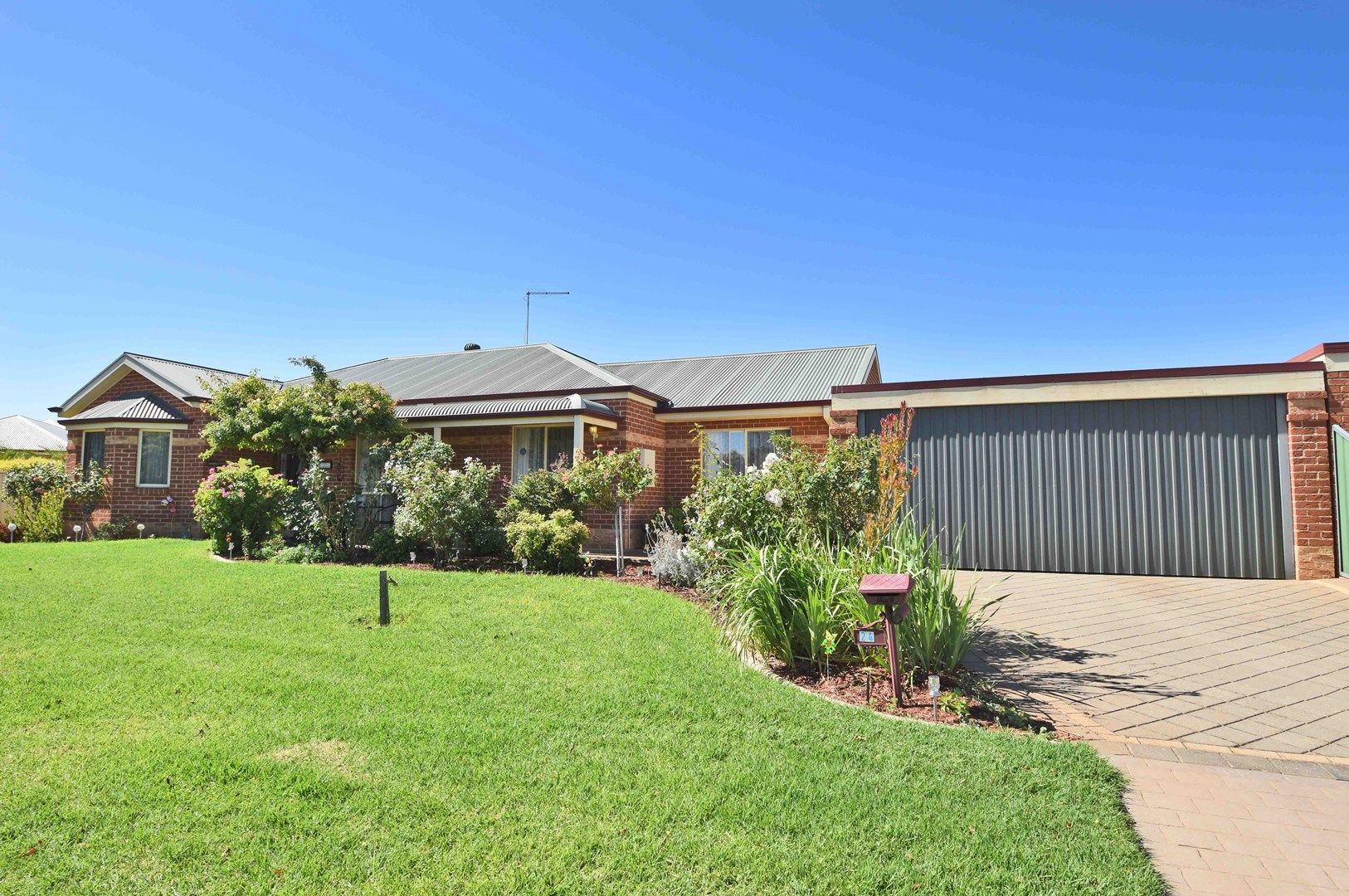 24 Teleki Drive, Irymple VIC 3498, Image 0