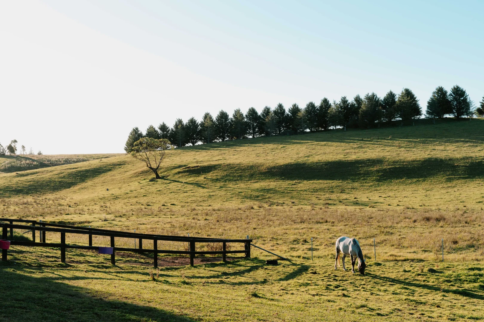 Additional image 37 of 7562 Illawarra Highway, Sutton Forest NSW 2577