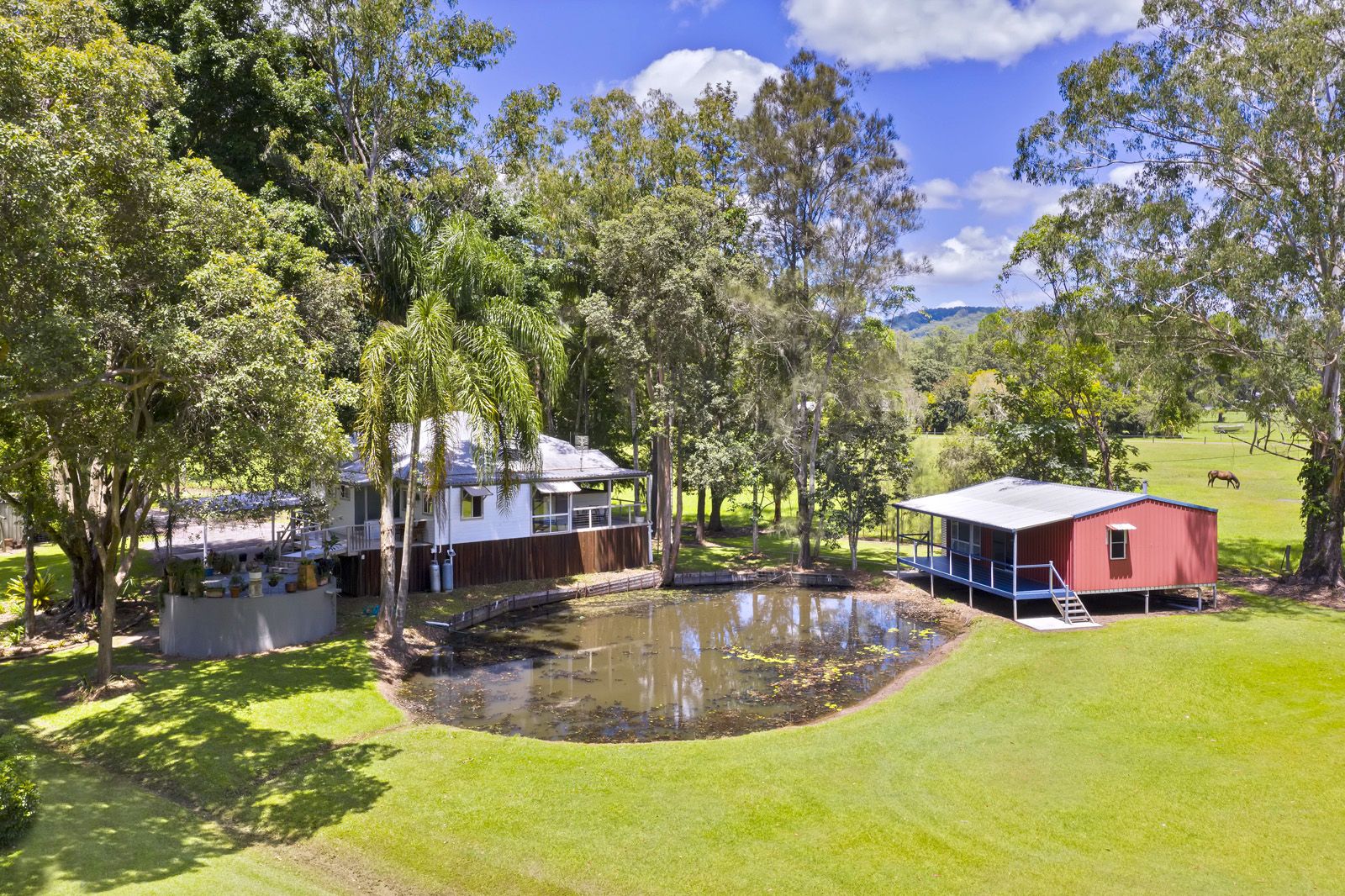 3 bedrooms House in 51 Mcgilchrist Road EUDLO QLD, 4554