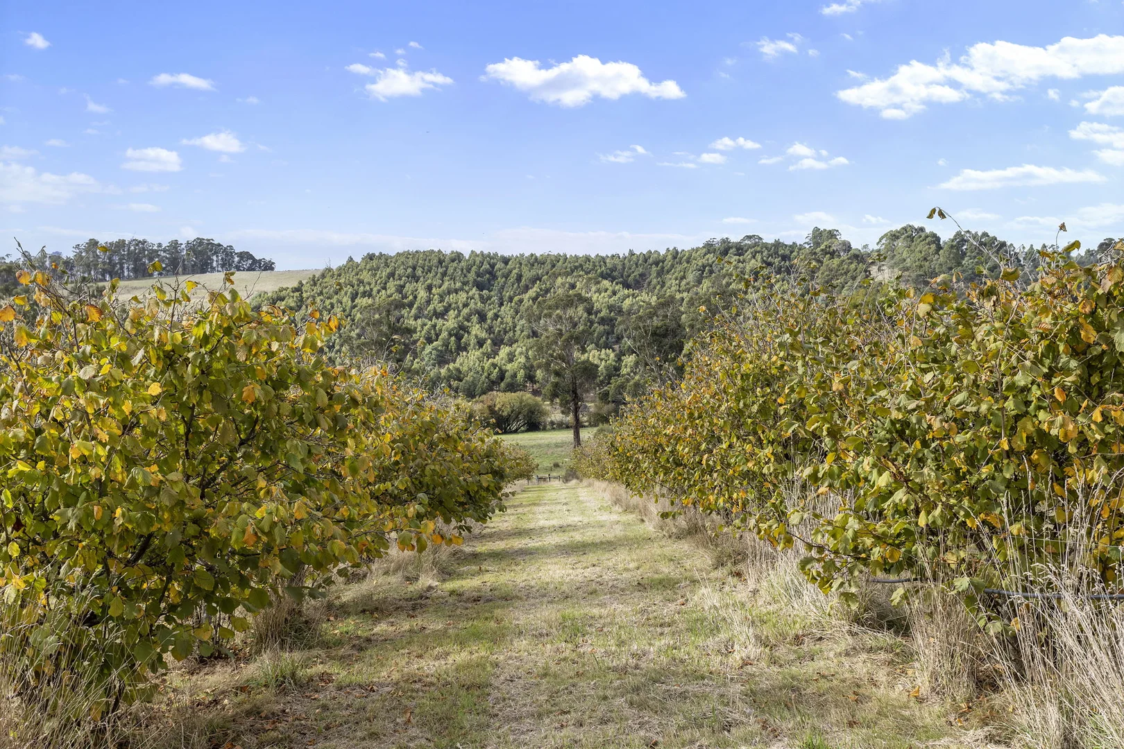 Additional image 15 of 83 Turkey Farm Road, Glengarry TAS 7275