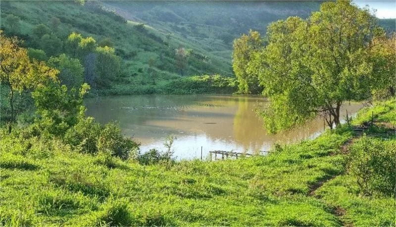 Additional image 12 of 697 Ingoldsby rd, Ingoldsby QLD 4343