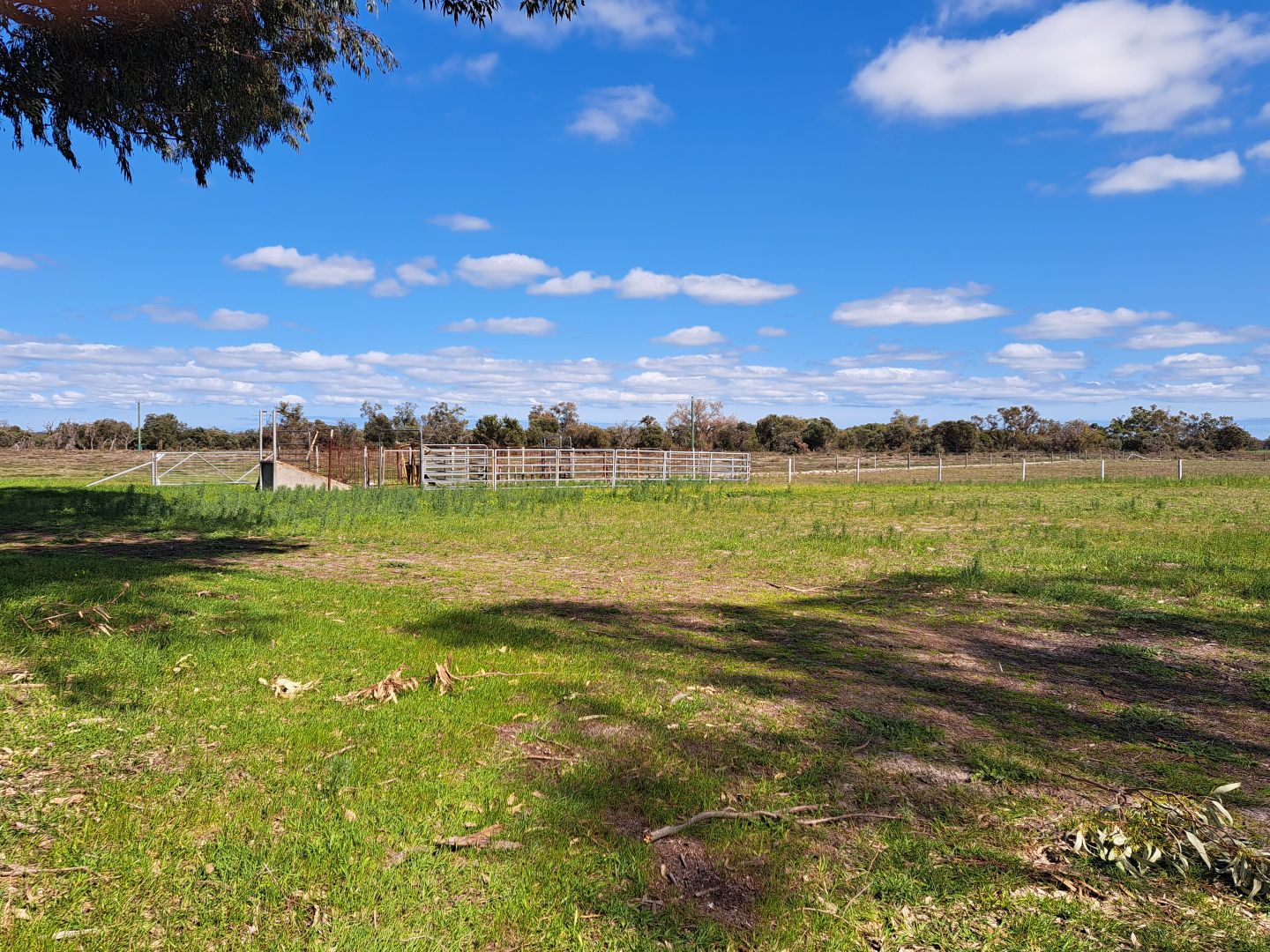 241 Strickland Road, Bambun WA 6503 Domain