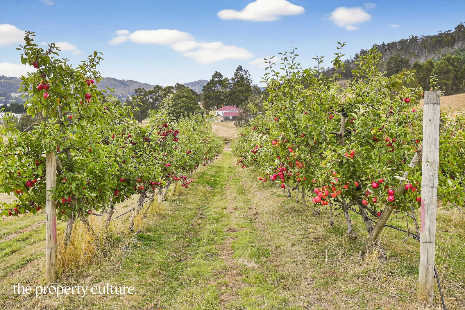 Additional image 22 of 25 Triffets Lane, Castle Forbes Bay TAS 7116