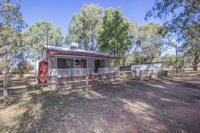 Picture of 100 Oak Bank Street, NARRANDERA NSW 2700