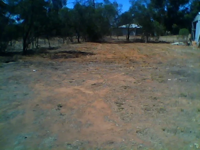 Image 15