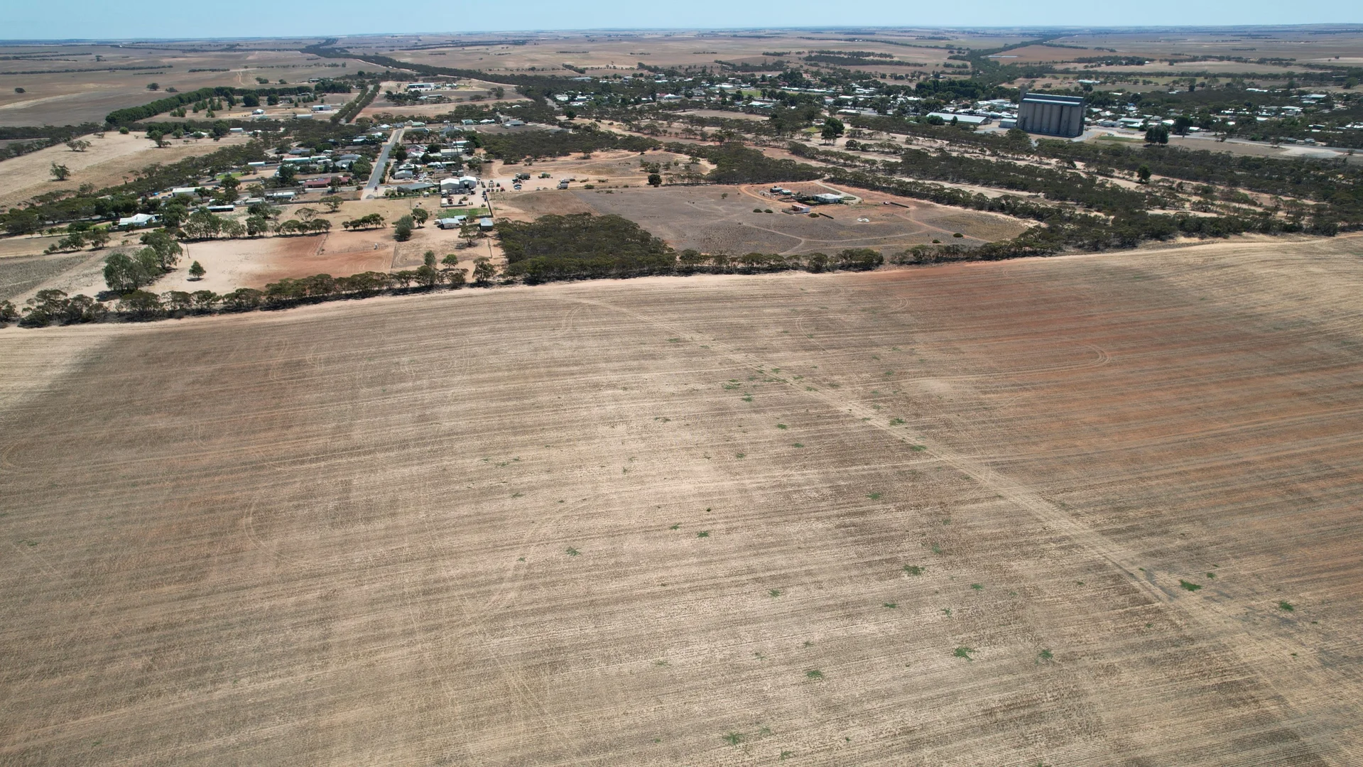 Image 12