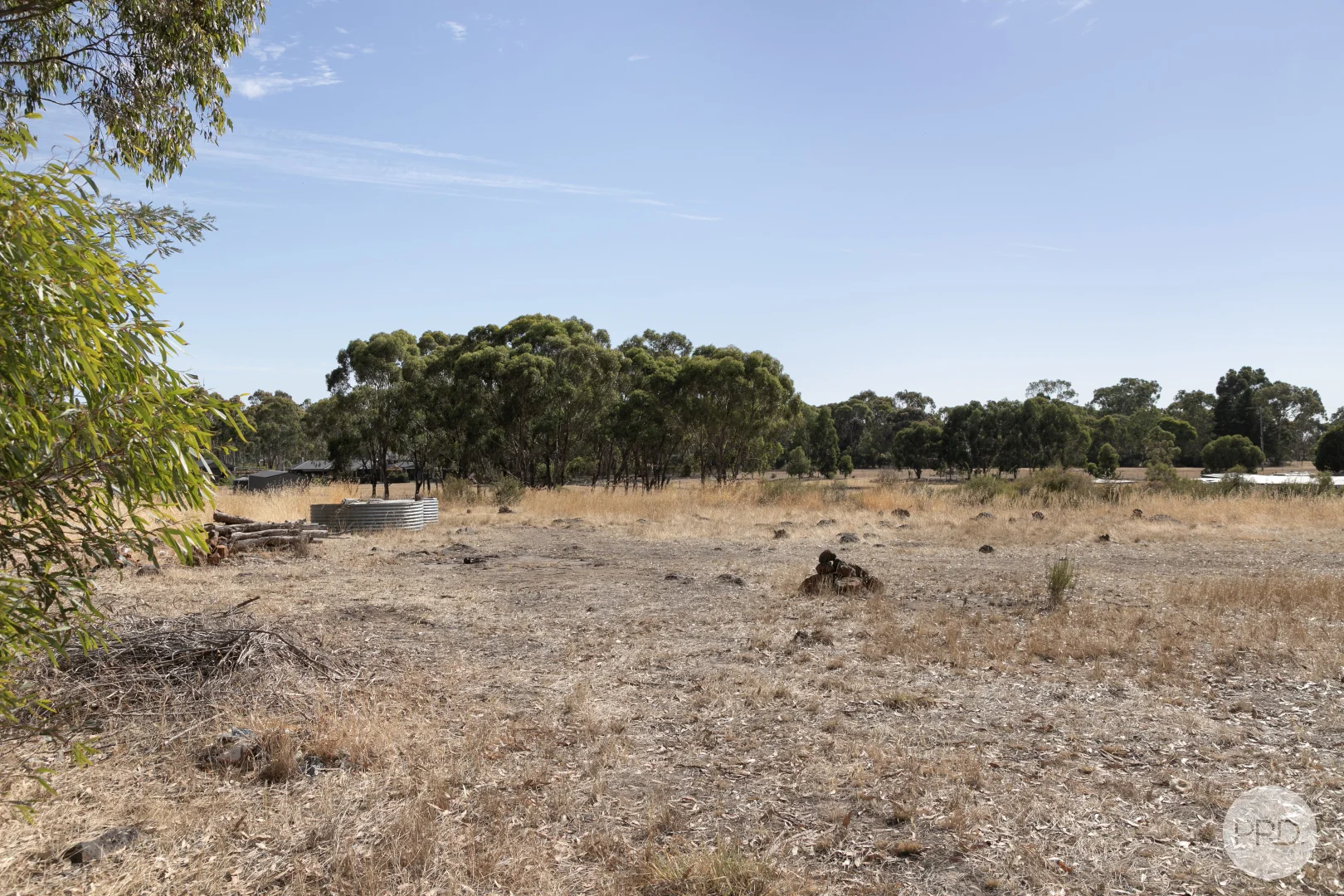 Image 12