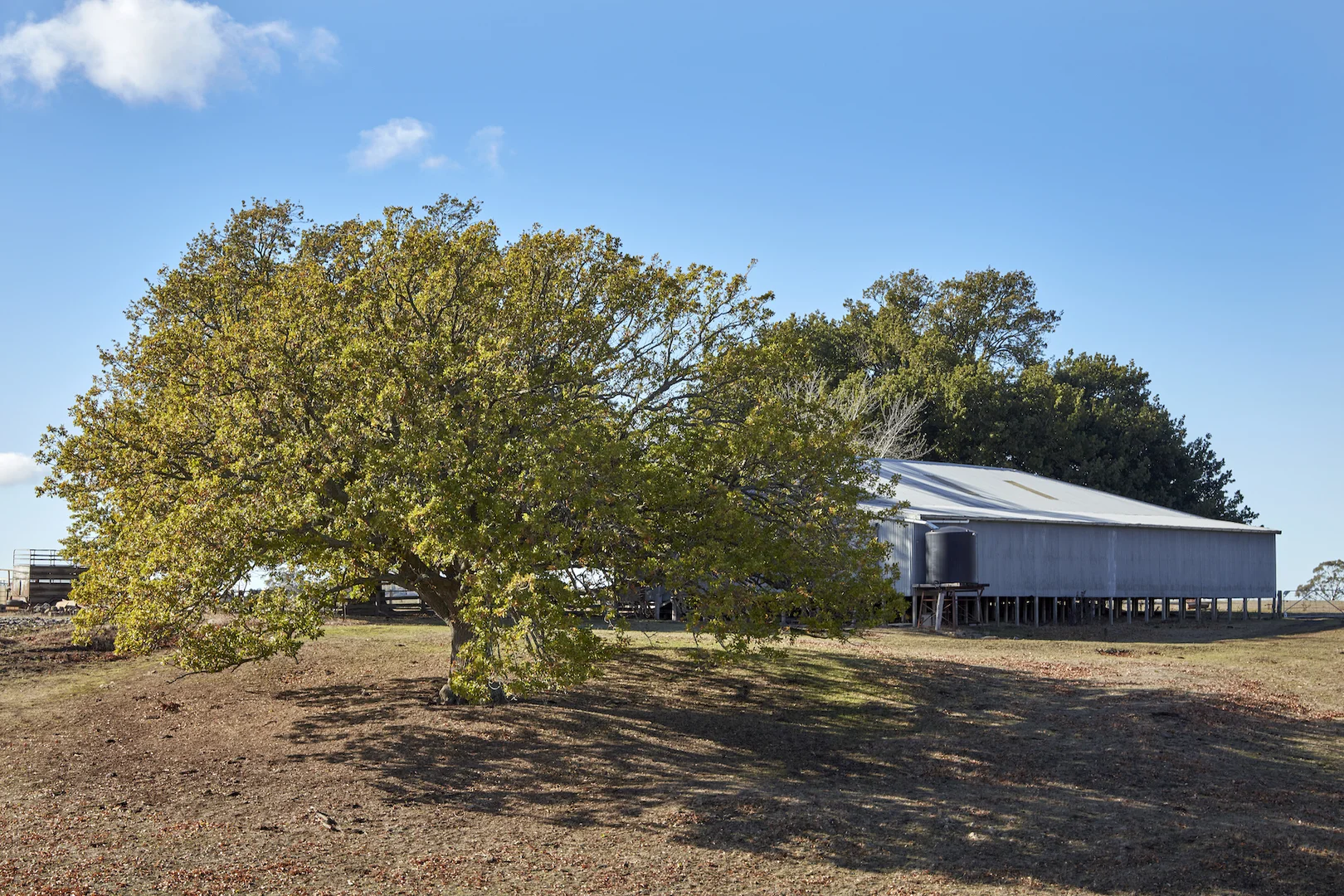 Image 6