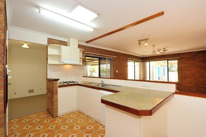 304 Rental Properties In Waikiki Wa 6169 Domain