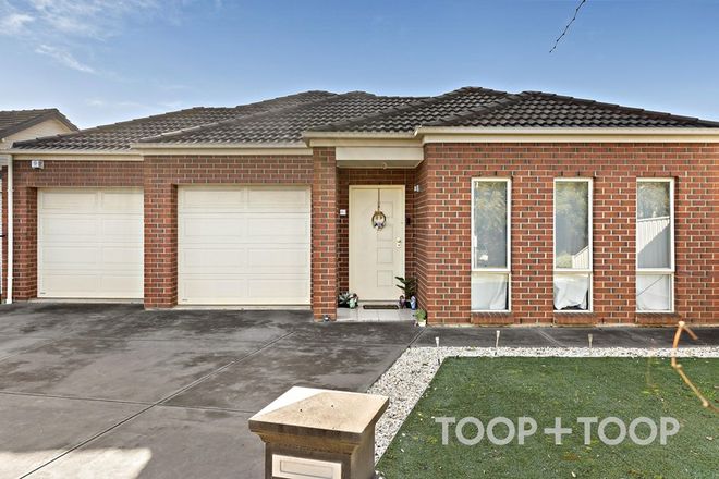 Picture of 6A Andrew Avenue, MARION SA 5043