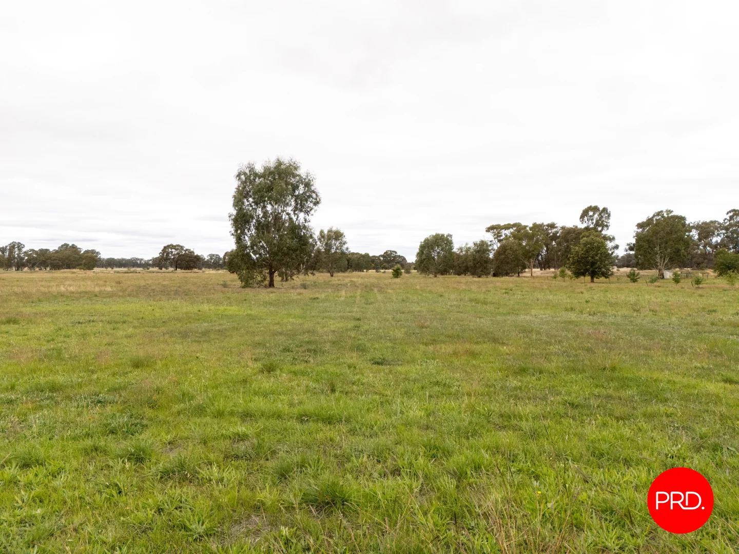 Image 13