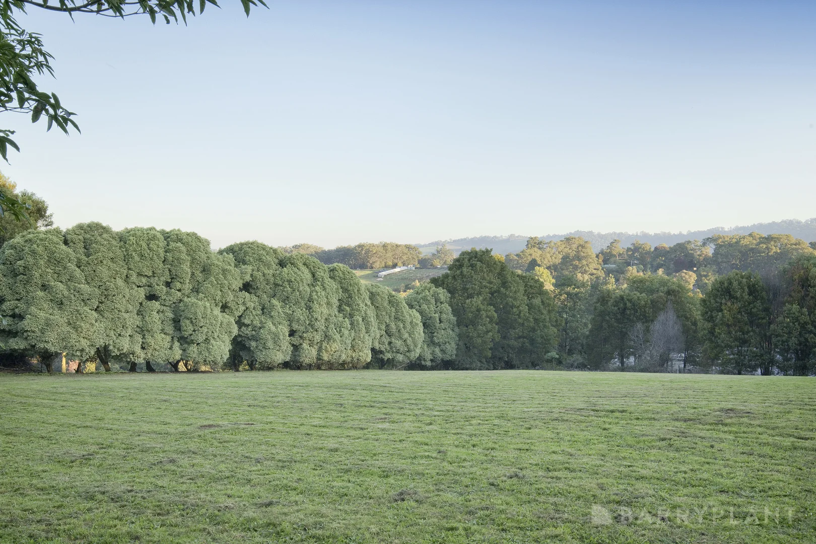 Image 12