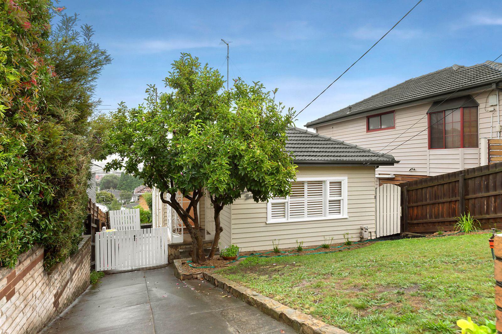 23 Rainer Street, Pascoe Vale South VIC 3044, Image 0