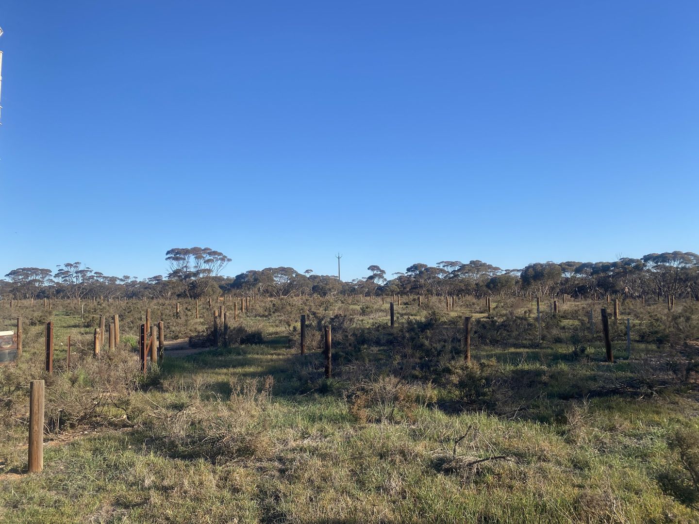 Section 54 Hunt Road, Kimba SA 5641, Image 1