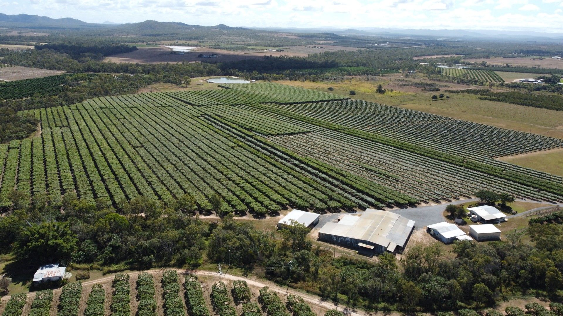 Dimbulah QLD 4872 House for Sale Domain