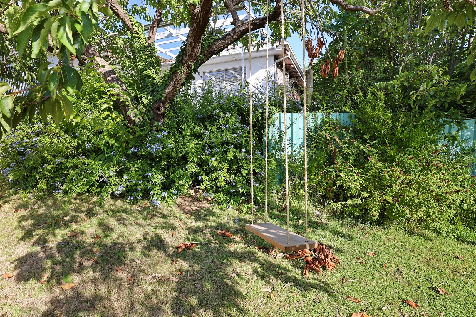 Image 27