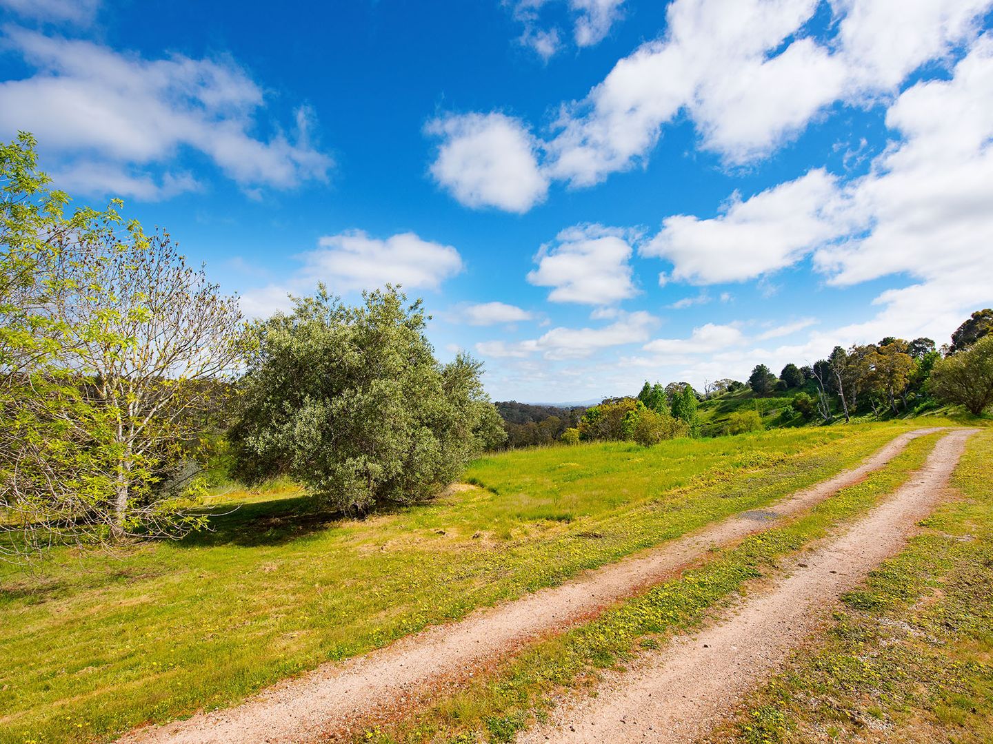 105 Hepburn Newstead Road, Hepburn Springs VIC 3461, Image 1