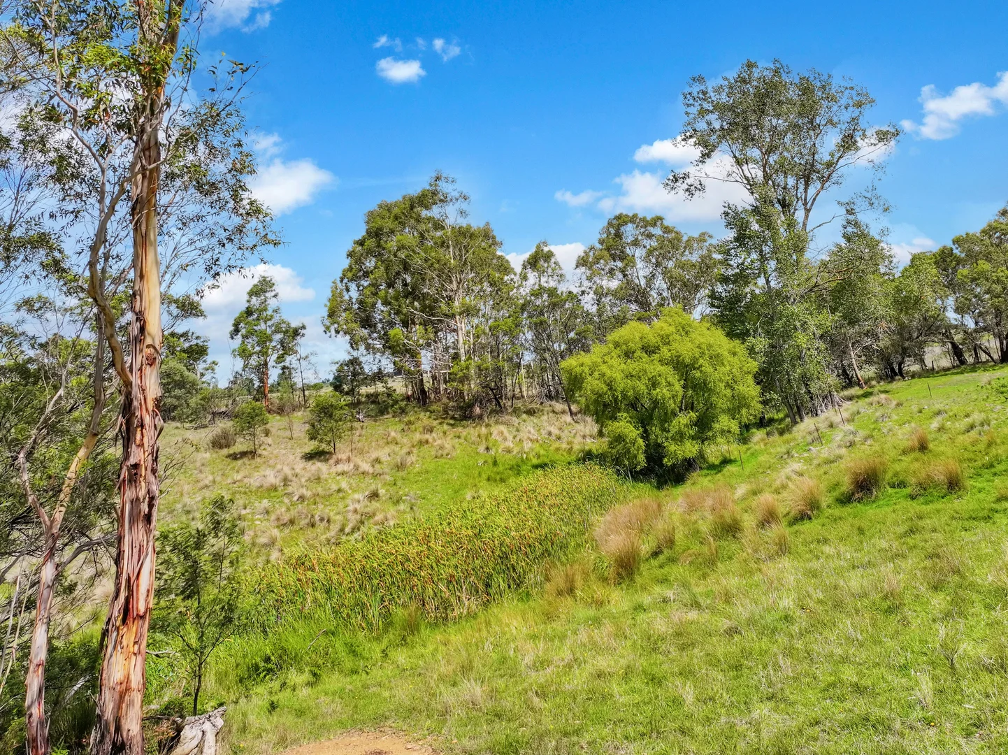 Additional image 8 of 195 Halls Lane, Braidwood NSW 2622