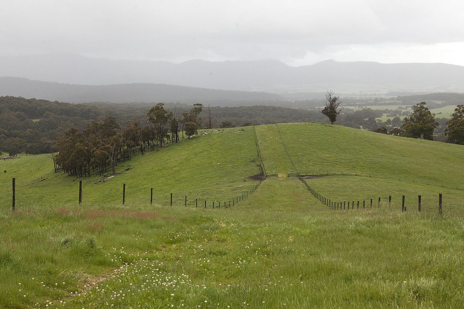 Bunyip North VIC 3815, Image 2