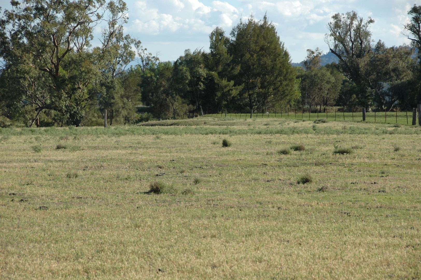 90 Borah Creek Road, Quirindi NSW 2343, Image 1