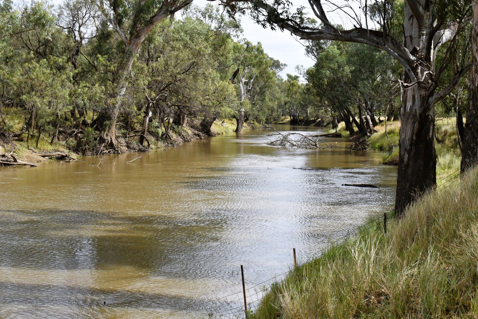 " The River Block" 1 Kiacatoo Road, Condobolin NSW 2877, Image 0