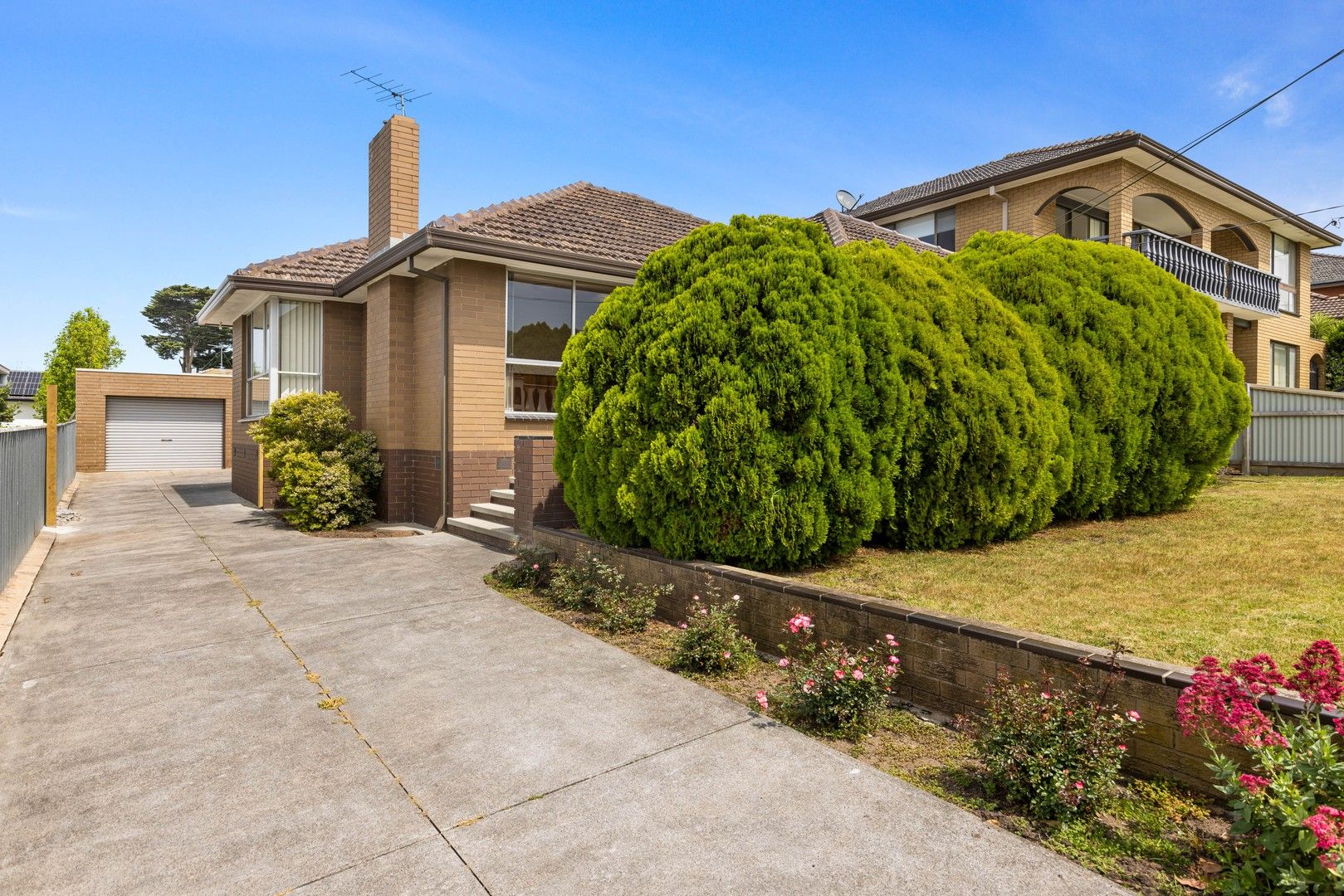 29 Ernest Street, Bell Post Hill VIC 3215 House For Rent 490 Domain