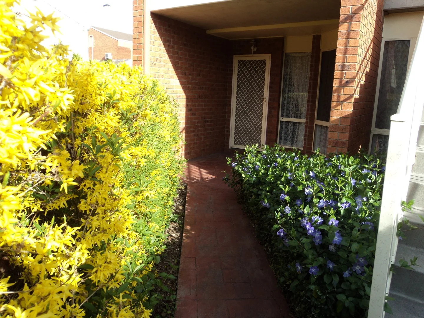 23/12 Albermarle Place, Phillip ACT 2606