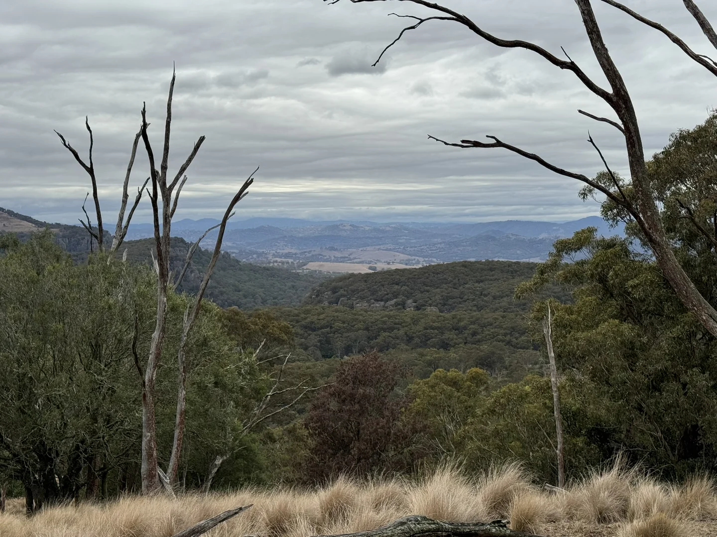 Image 15