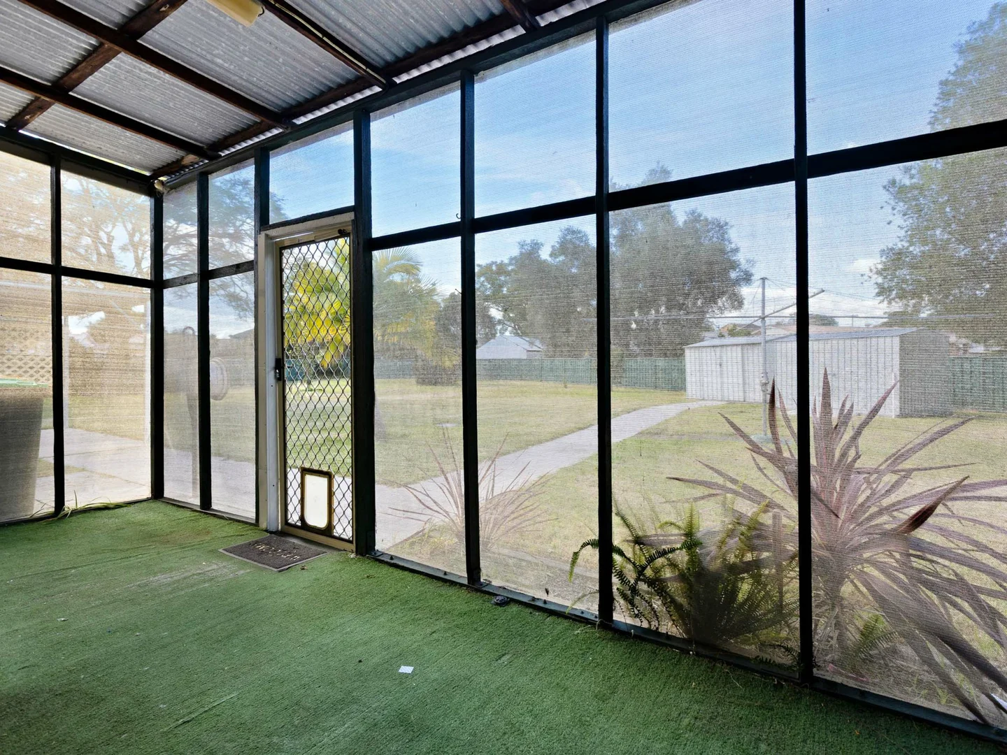Image 12