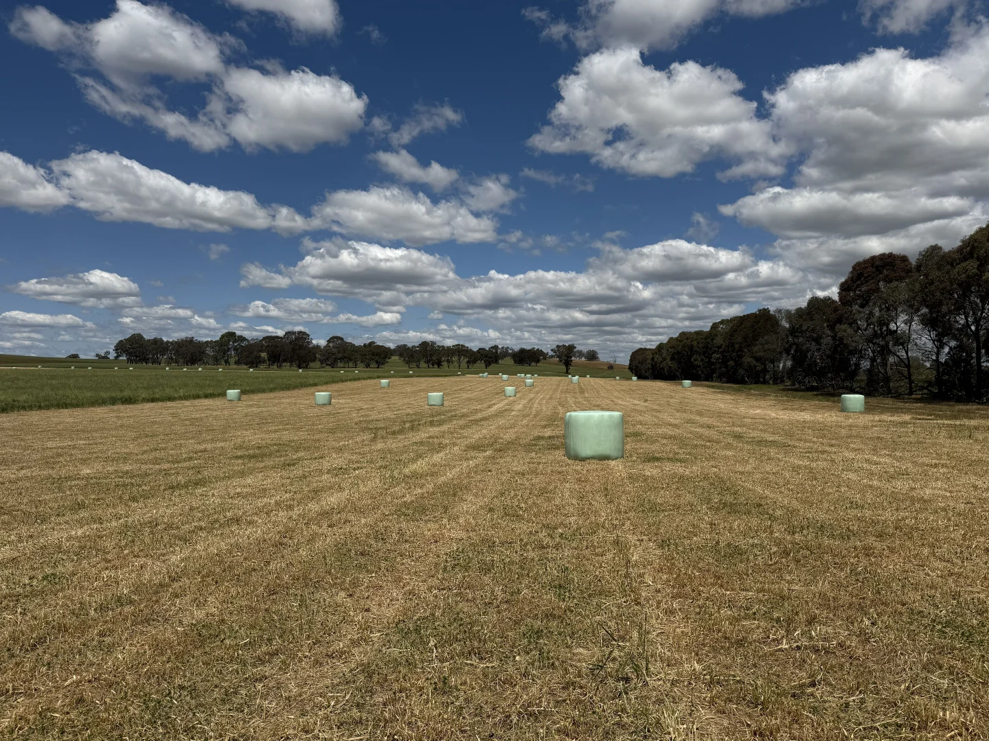 Additional image 21 of 798 Bethel Road, Glenellen NSW 2642