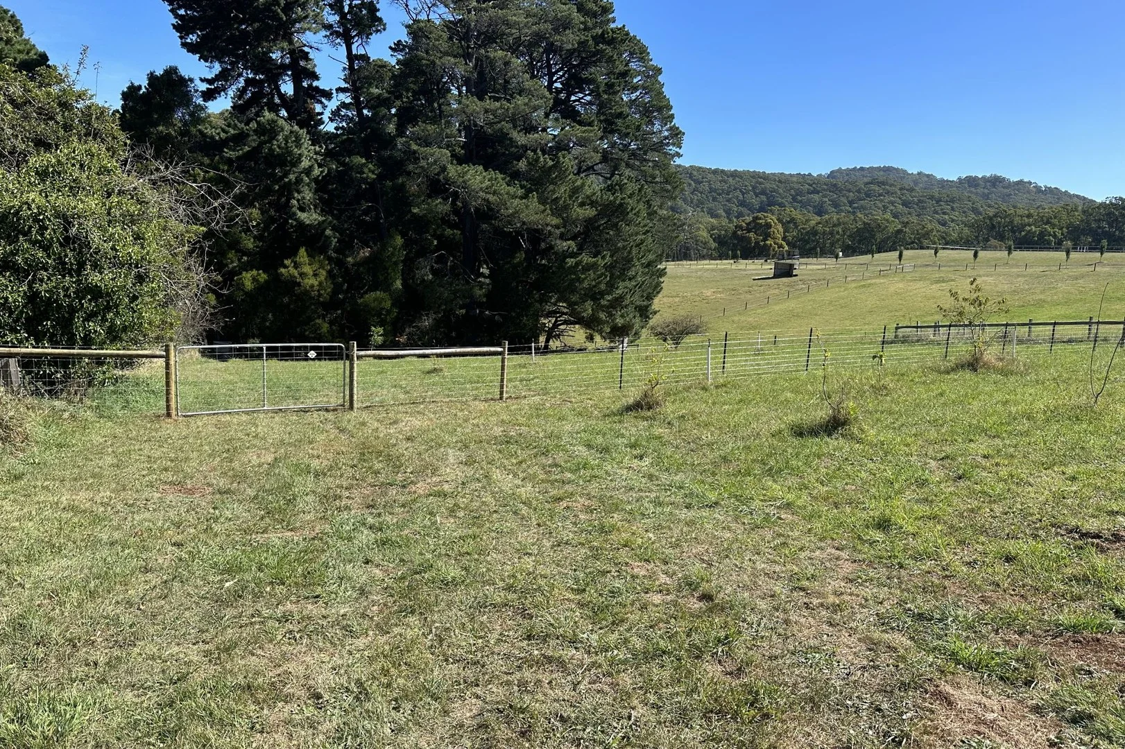 138 Monbulk Road, Mount Evelyn VIC 3796