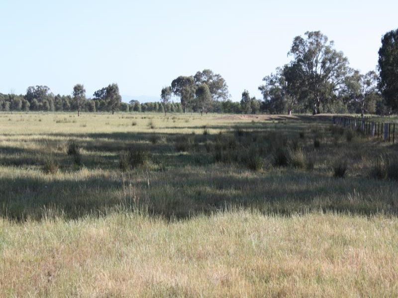 Lot 0 Coach Road, Winton VIC 3673, Image 0