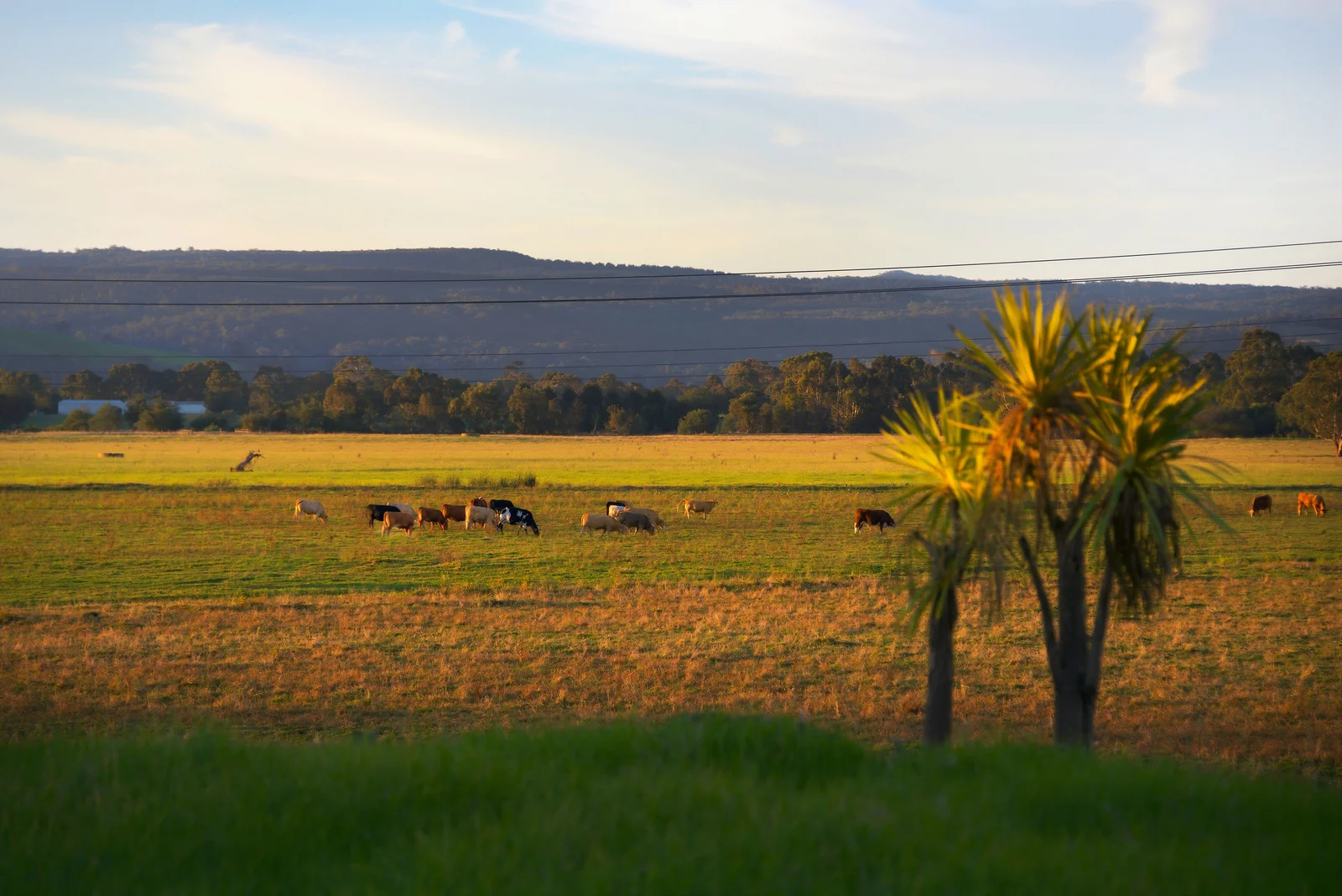 Additional image 17 of 89 Riverslea Boulevard, Traralgon VIC 3844