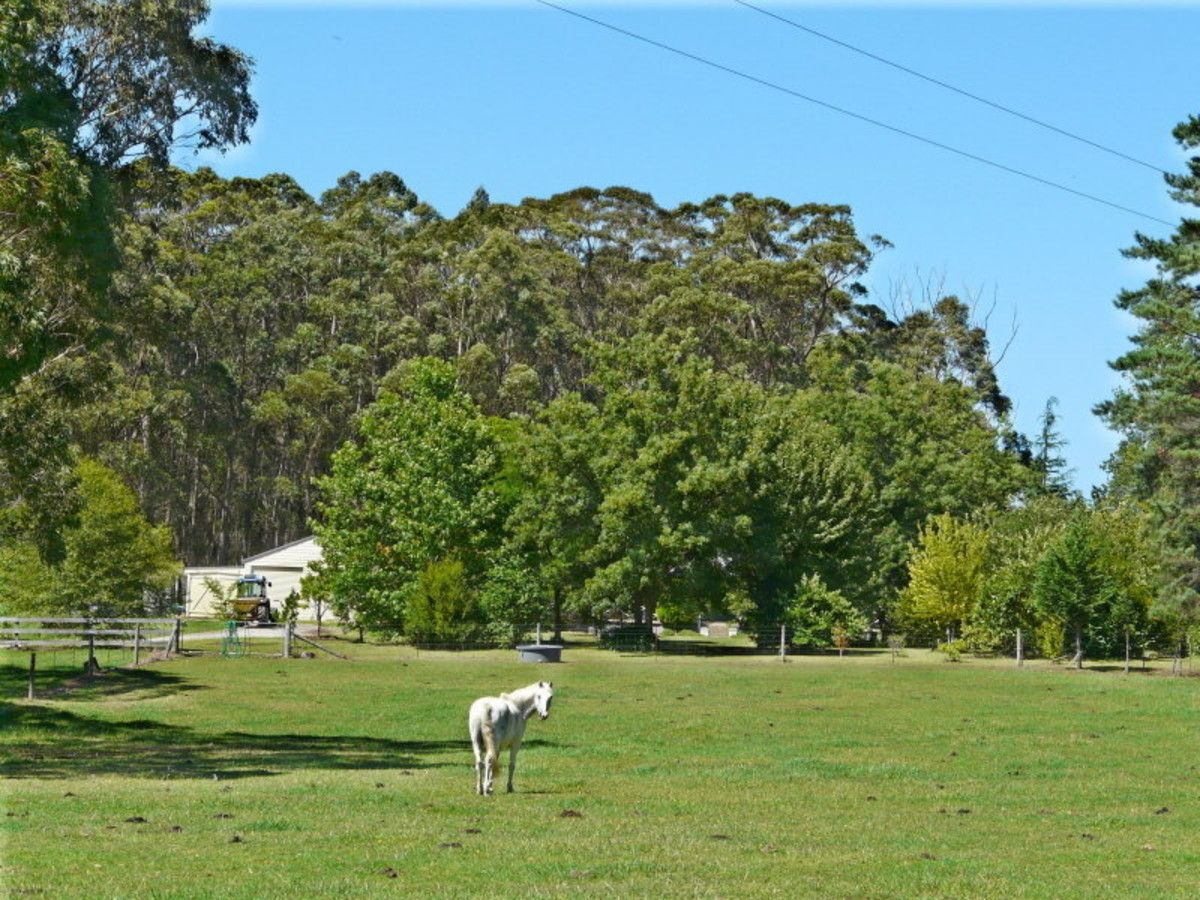 387 Cloonty Road, Carrington Falls NSW 2577, Image 1