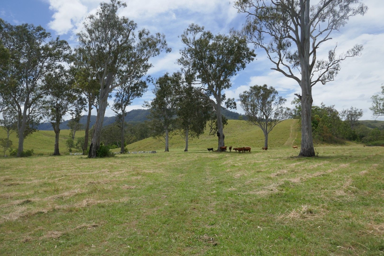 LOT 1 Summerland Way, Kyogle NSW 2474, Image 0