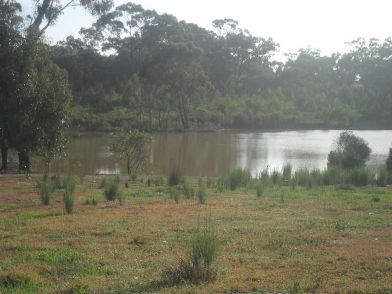 936 HEATHCOTE/ROCHESTER Road, Mt Camel / Toolleen Area, Redcastle VIC 3523, Image 1