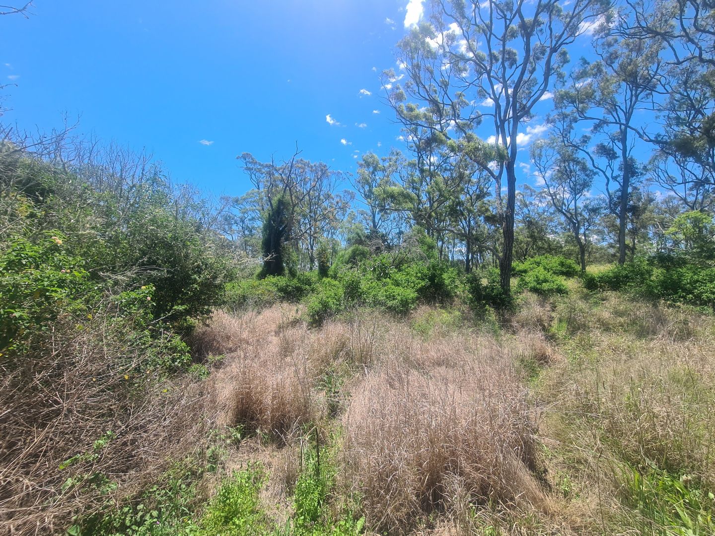 Lot 17 Garrett Street, Haden QLD 4353, Image 2