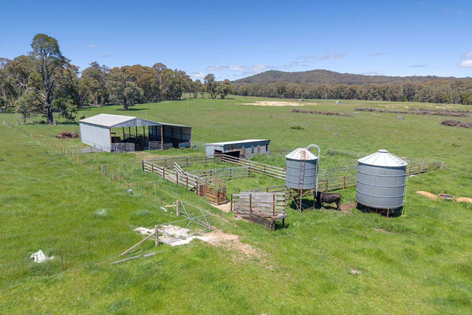 Additional image 6 of 218 Hurdle Flat Road, Beechworth VIC 3747