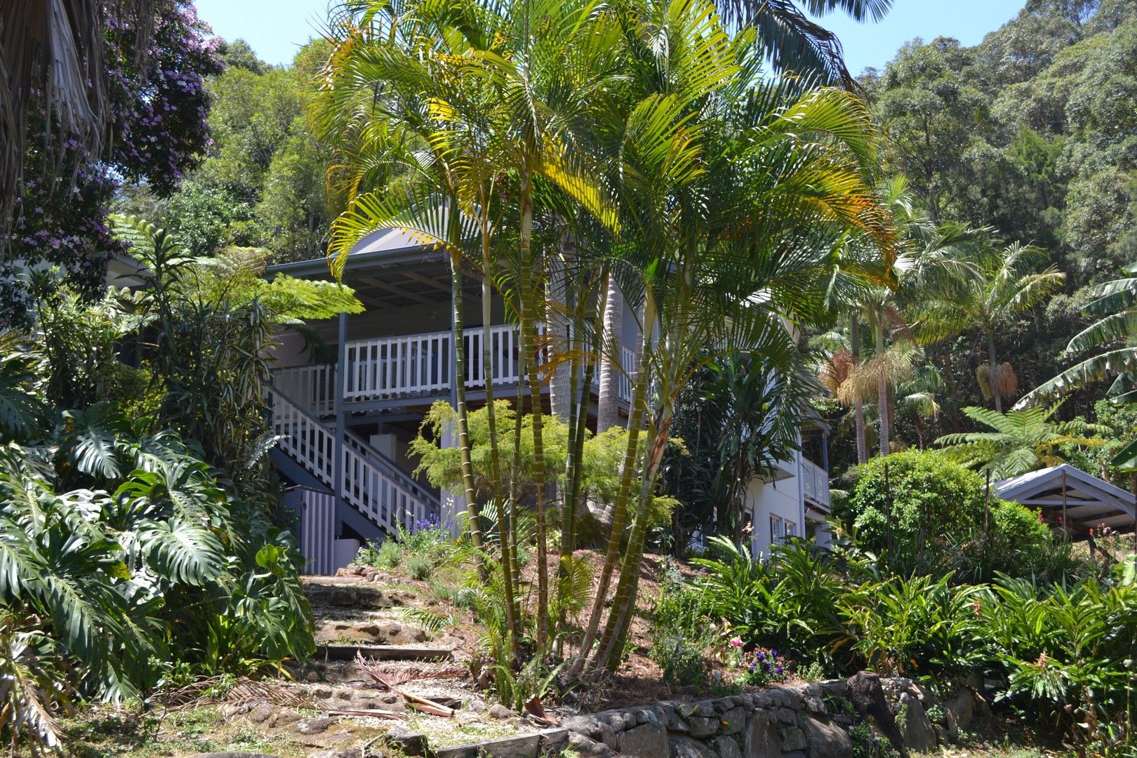 41 Brushbox Drive, Mullumbimby Creek NSW 2482, Image 0