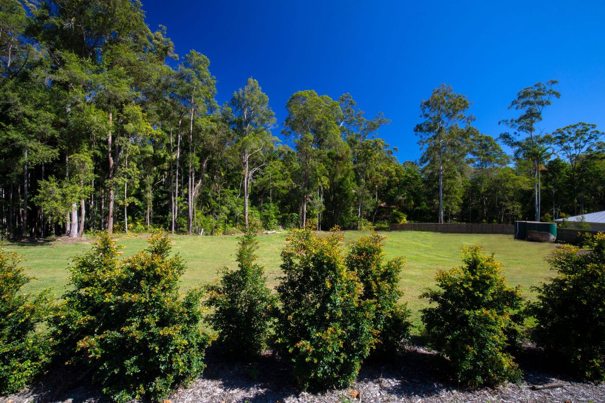 40 Anning Road, Forest Glen QLD 4556 Domain